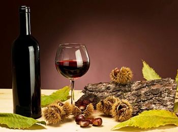 Martinovanje v Domu krajanov Poženik