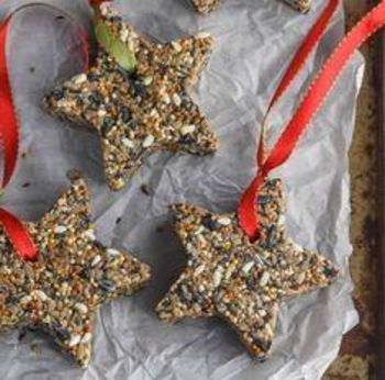 Ustvarjalna delavnica Ptičja hranilnica