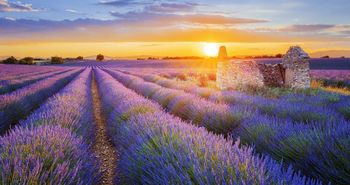 Potopisno predavanje Provansa