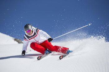 Test smuči s Salamonom