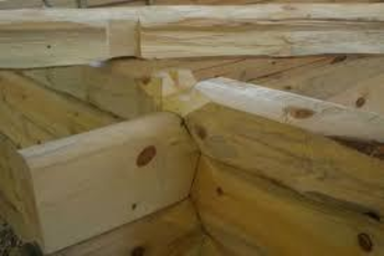 Izobraževanja za predelavo in zaščito lesa ter uporabo za visokokakovostne izdelke in konstrukcije