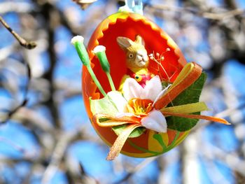 V Apnem okrasili drevo s 350. raznobarvnimi pirhi