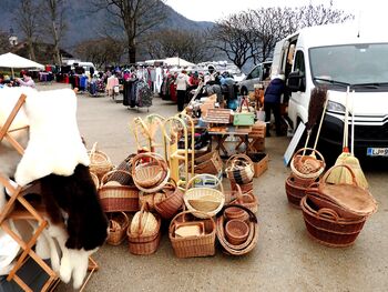Tržnica pod Jenkovo lipo dobro obiskana