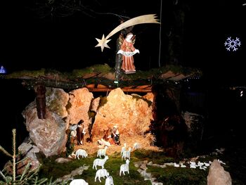 V Dvorjah petič postavili jaslice pod vaško lipo