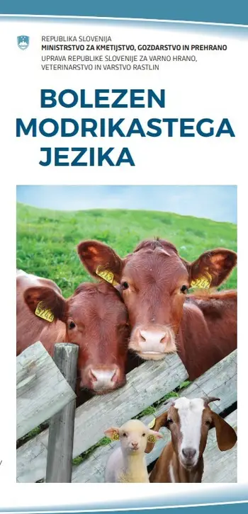 MKGP NOVICA: BOLEZEN MODRIKASTEGA JEZIKA PUSTOŠI PO DROBNICI