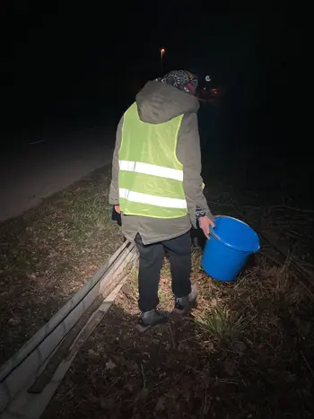 Prostovoljska akcija: Pomagajmo dvoživkam varno čez cesto Prostovoljska akcija: Pomagajmo dvoživkam varno čez cesto