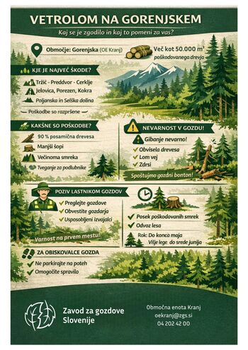 Zavod za gozdove Slovenije - Vetrolom