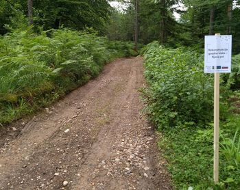 Uredili smo pet gozdnih poti