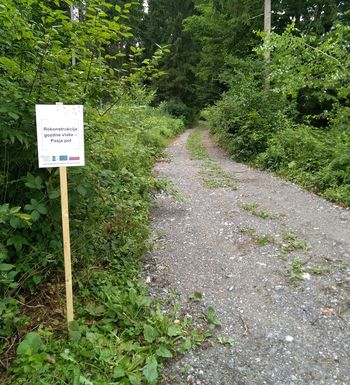 Uredili smo pet gozdnih poti
