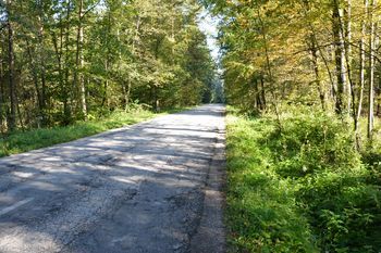 Rekonstrukcija cest Sp. Pirniče - Zavrh, Sora - Trnovec in Seničica - Medno