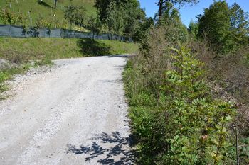 Sanacija plazu na Topolu