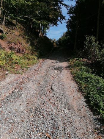 Asfaltiranje ceste v "Pojzd" na Topolu