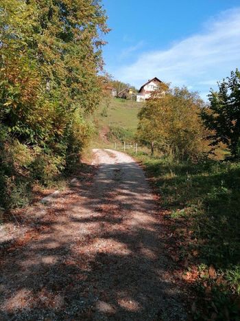 Asfaltiranje ceste v "Pojzd" na Topolu