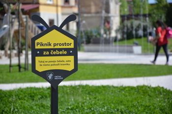 Piknik prostor za čebele