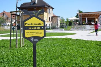 Piknik prostor za čebele