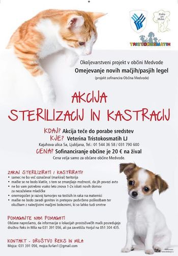 Šesta sezona akcije sterilizacij in kastracij mačk in psov