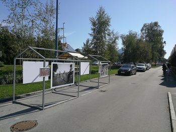 Zahvala ob zaključku tedna mobilnosti