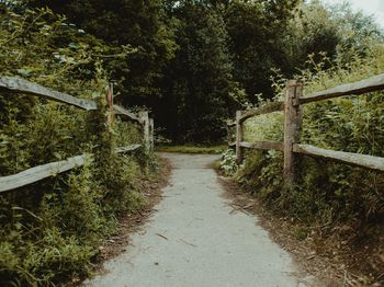 Obrezovanje vegetacije ob cestah