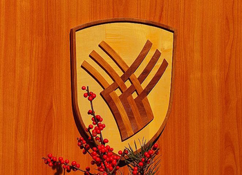 Poslovanje občinske uprave le preko telefona in spleta - začasni ukrepi v upravnih zadevah