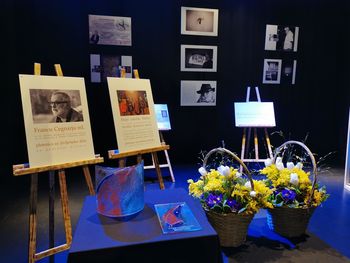 Kulturna priznanja in razstava ob prazniku