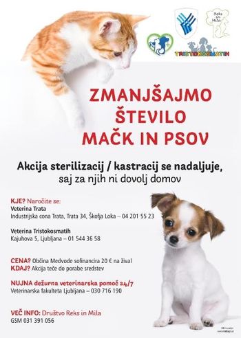 Nadaljujemo s projektom sterilizacij in kastracij mačk in psov