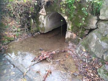 Sanacija mostu čez potok Grabnarica