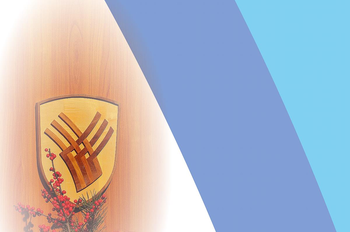 Delovna telesa občinskega sveta za nov mandat