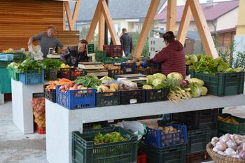 Dobava zdrave lokalne hrane v vrtec in šole