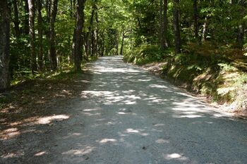 Asfaltiranje ceste Sora - Osolnik Asfaltiranje ceste Sora - Osolnik