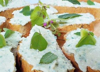 Delavnica: ZIMSKE RASTLINE