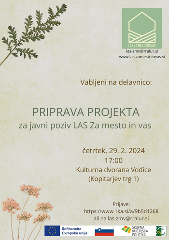 Delavnica: PRIPRAVA PROJEKTA za javni poziv LAS