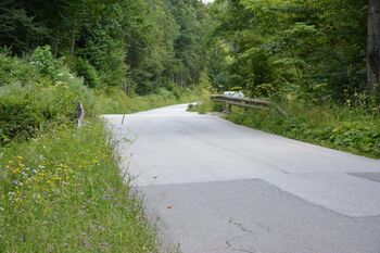 Gradimo pet novih mostov v dolini Ločnice Gradimo pet novih mostov v dolini Ločnice