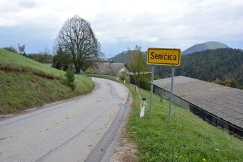 Gradnja opornega zidu ob cesti proti Golem Brdu