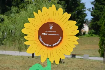 Sejemo sončno prihodnost Sejemo sončno prihodnost