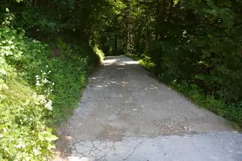 Rekonstrukcija klanca v Žlebeh