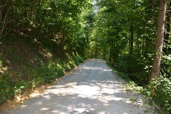 Rekonstrukcija klanca v Žlebeh