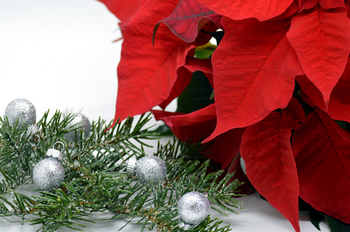 Gradimo povezano skupnost tudi v letu 2026 Gradimo povezano skupnost tudi v letu 2026