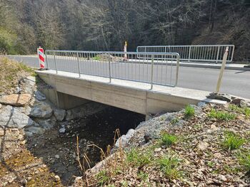 Sanacija mostov v dolini Ločnice