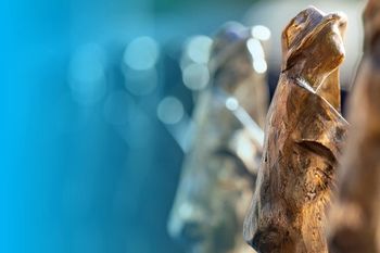 JAVNI POZIV ZA PODAJO PREDLOGOV ZA PODELITEV PRIZNANJ OBČINE MEDVODE ZA LETO 2024