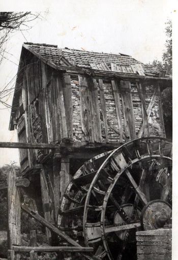 ZAPUŠČENI MLINI - Fotografska razstava in filmska projekcija