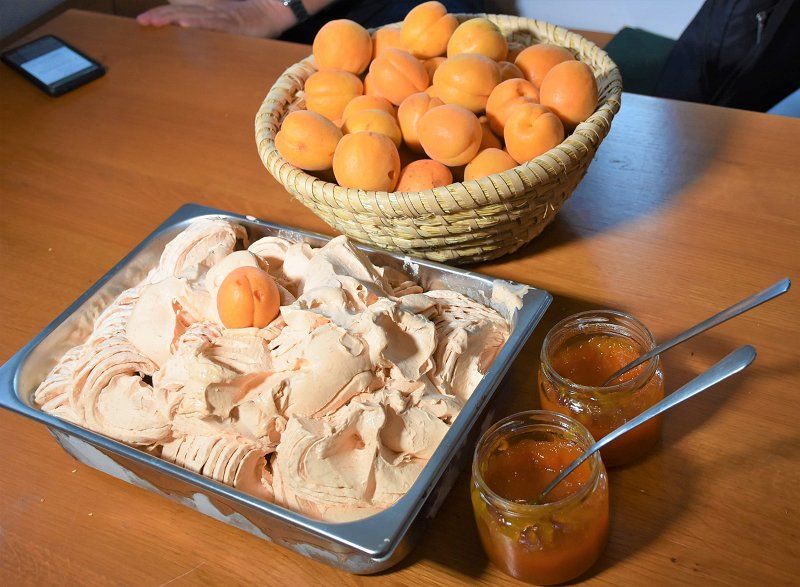 Občina Brežice za ohranitev avtohtone sorte pišeška marelica