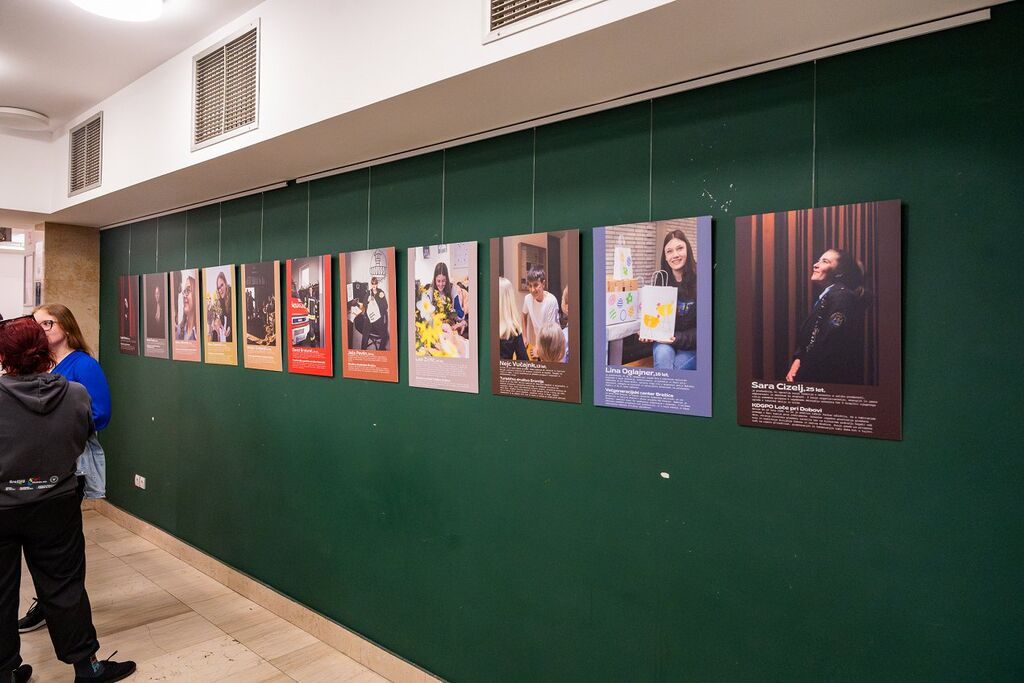 Mladi v Brežicah: mladinsko delo, participacija in lokalno okolje