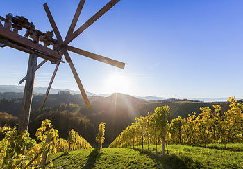 Javni razpis za sofinanciranje turistične promocije vinorodnih okolišev v občini Brežice v letu 2019 Javni razpis za sofinanciranje turistične promocije vinorodnih okolišev v občini Brežice v letu 2019