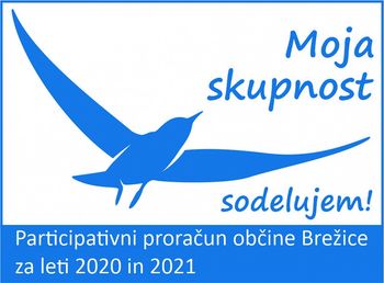 Glasovanje za projekte &quot;Moja skupnost-sodelujem!&quot; je zaključeno