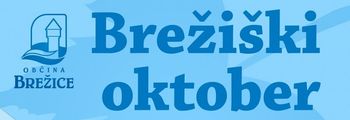 Do 6. septembra je rok za oddajo predlogov za podelitev priznanj Občine Brežice za leto 2021