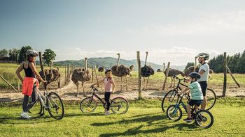 Brežiški turizem je v dobri kondiciji