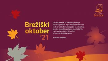 Ob začetku prazničnega meseca župan Občine Brežice o dosežkih in presežkih