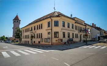 Višji svetovalec za družbene dejavnosti in razvoj