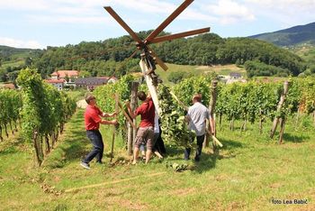 Javni razpis za sofinanciranje turistične promocije vinorodnih okolišev v občini Brežice v letu 2022