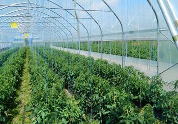 Občina Brežice pridobila sredstva za začetek posodobitve namakalnega sistem Arnovo selo